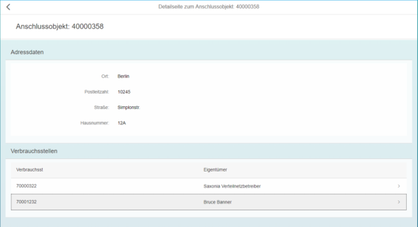 SAP Fiori - Detailseite des Anschlussobjektes