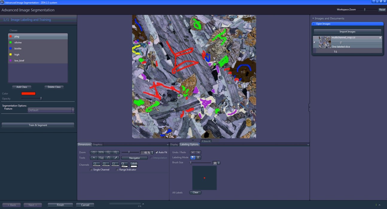 Introducing ZEISS ZEN Intellesis Deep Learning for Microscopy Microscopy