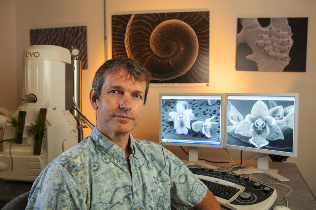 Dr. Daniel Geiger views images of micro orchids on a Scanning Electron Microscope, Museum of Natural History, Santa Barbara, California, United States of America