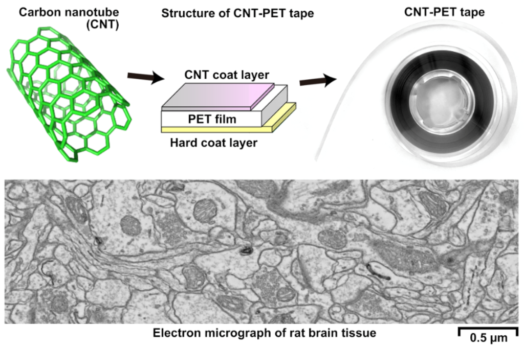 (Upper panel) The new conductive tape is made by coating conventional PET tape with carbon nanotubes (CNTs) to generate CNT-PET tape. (Lower panel) Sample electron microscopy image from a brain section collected on CNT-PET tape showing good ultrastructure without any charging artefact.