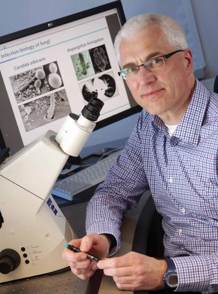 Prof. Dr. Axel Brakhage Prof. Dr. Axel Brakhage, Lehrstuhl für Mikrobiologie und Molekularbiologie an der Universität Jena und Direktor des Hans-Knöll-Instituts für Naturstoffforschung Jena, aufgenommen am 22.05.2013. Foto: Jan-Peter Kasper/FSU