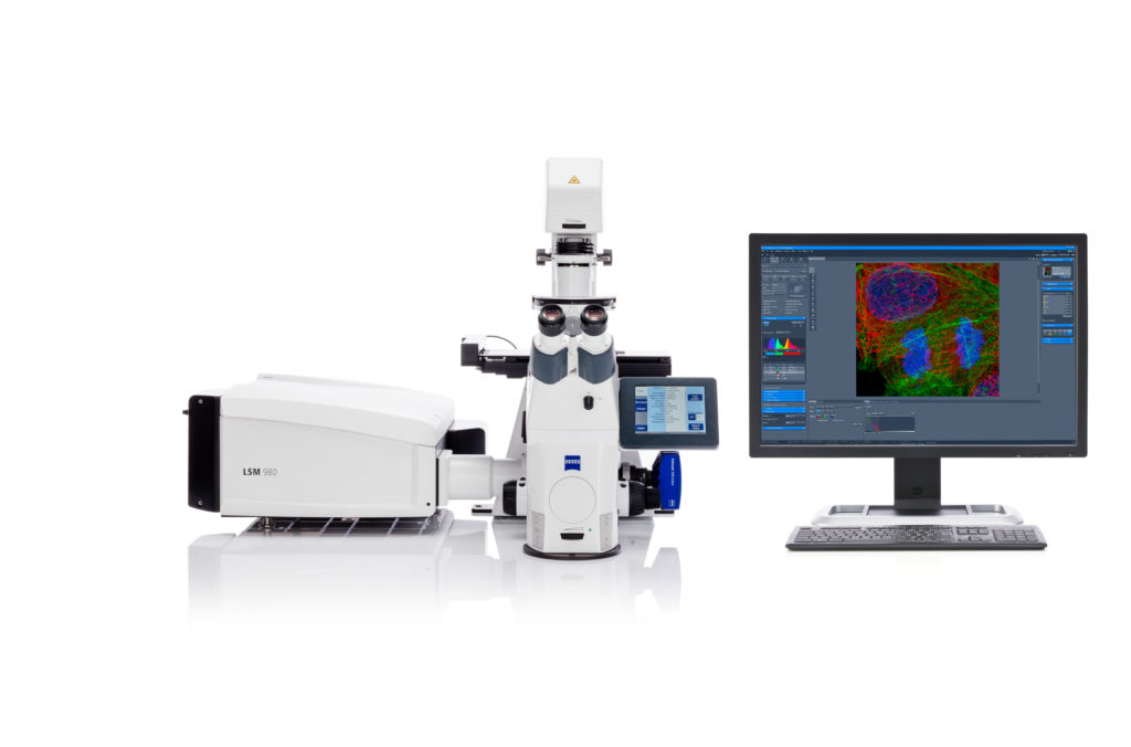 ZEISS LSM 980 with Airyscan 2 is the ideal platform for confocal 4D imaging that combines optical sectioning with low phototoxicity and high speed.