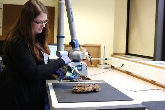To image the specimens Kate Burton uses mobile handheld laser scanners.
Image: NHM