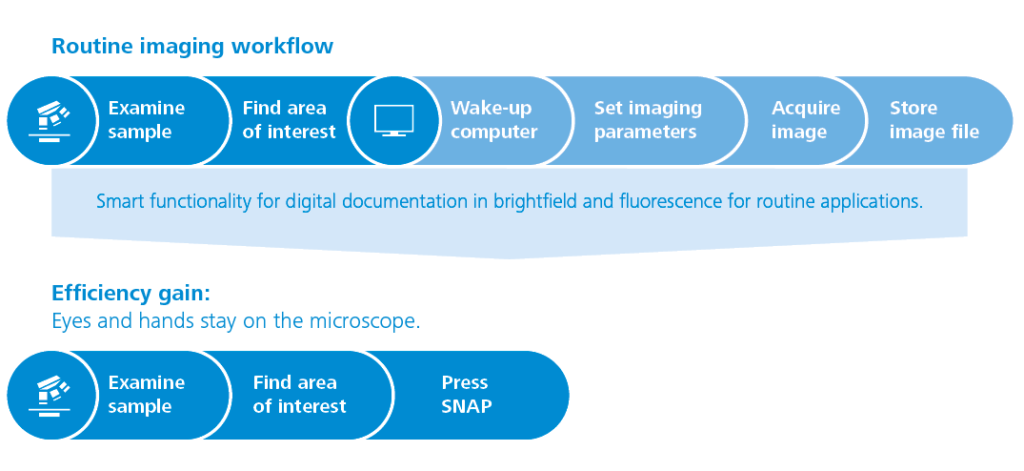 Gaining efficiency with ZEISS Smart Microscopy: A new routine imaging workflow
