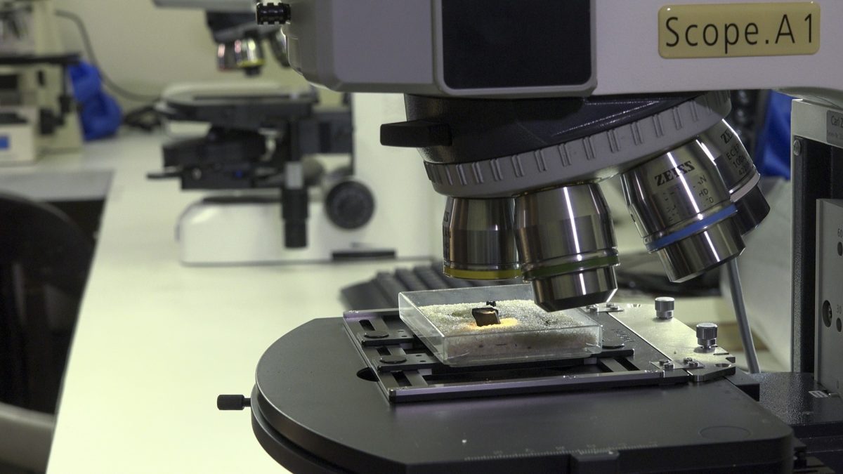 Museum Laboratory Recovers After Massive Fire Microscopy