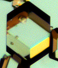 Optical microscopy image of hexamine showing the rhombic dodecahedron crystal morphology. Images courtesy of Hien Nguyen, The University of Leeds, and reproduced from Gajjar et al (2021) under a CC-BY license. 