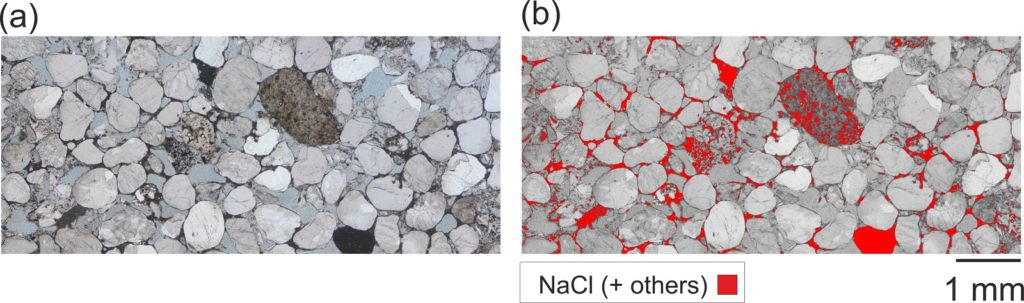 Salt precipitation inferred from thin section petrographic analysis in the sample fully-dried after the carbon dioxide injection test. The segmentation accounts for NaCl and other isotropic minerals of the original sample.