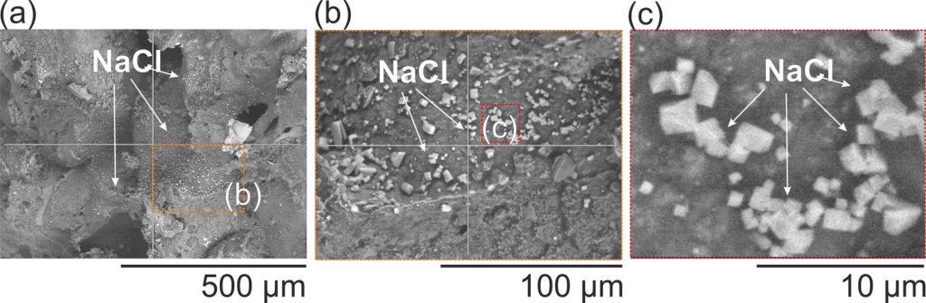 Scanning electron microscope (SEM) images of the sandstone surface fully-dried after the carbon dioxide injection test. Halite crystals (composition corroborated by EDX analysis) are coating the sample, as shown in three zoom-in scales (from a to c).