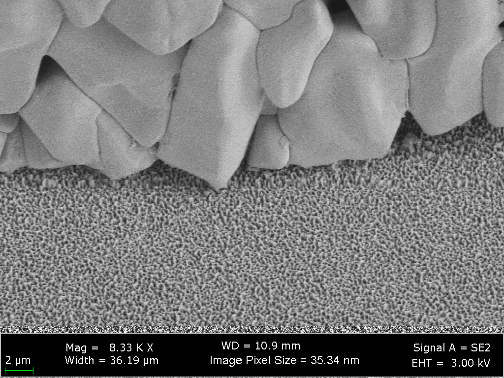 Contact between ejected salt structure and nanotextured surface imaged by scanning electron microscopy