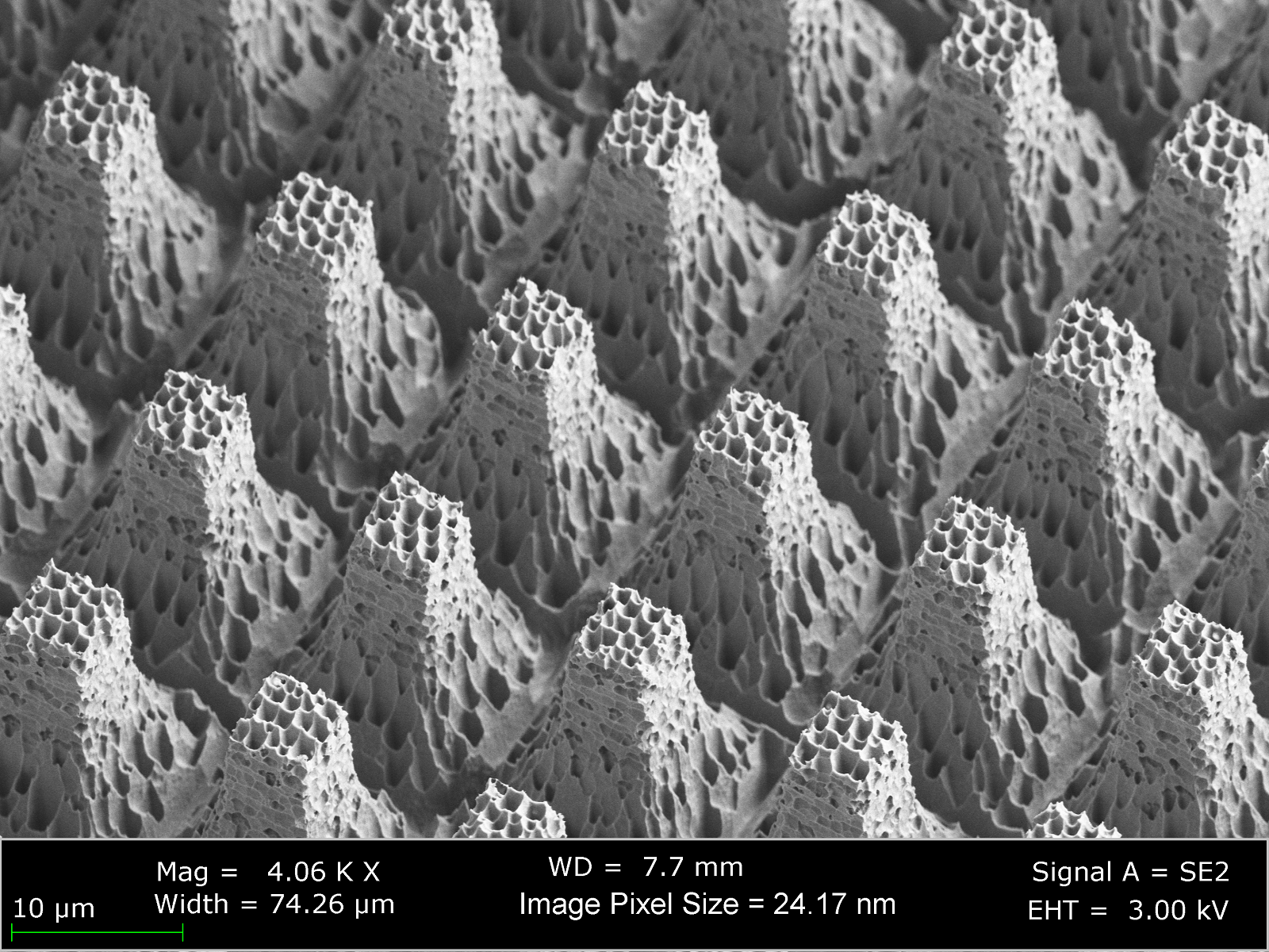 A side-view image capturing details of one of the superhydrophobic surfaces used in this study. The superhydrophobic texture has multiple length scales and is composed of micro-scale post features and nano-scale nanograss features.  Image courtesy of Dr. Kripa 