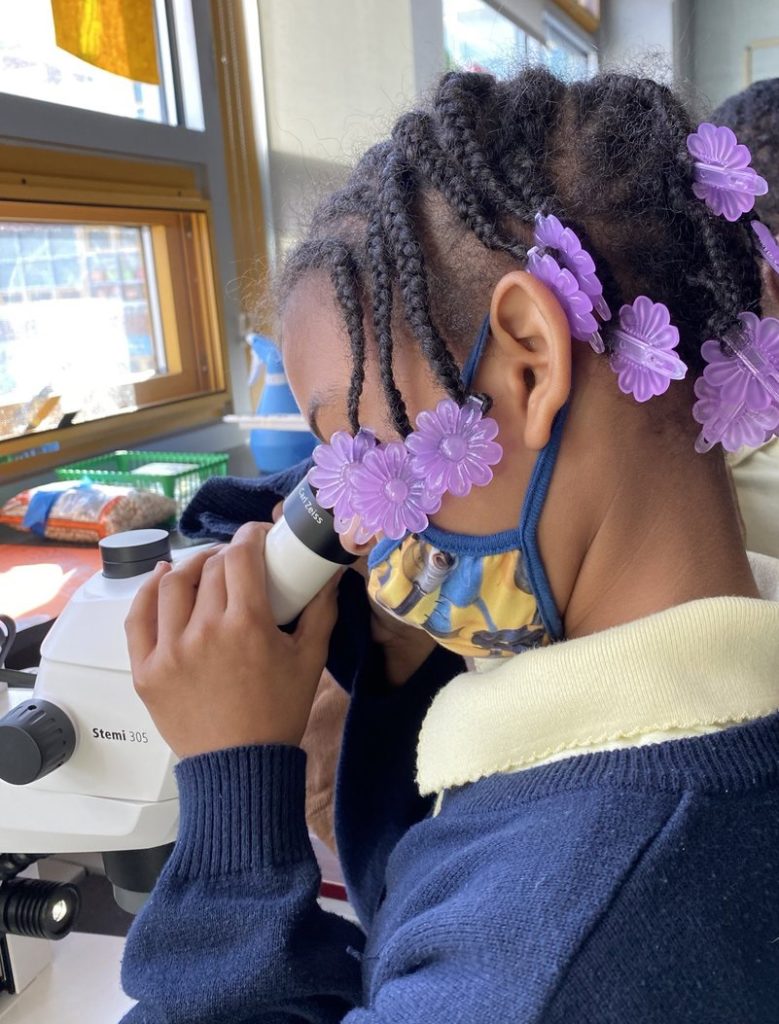 BioEYES student using classroom microscope.