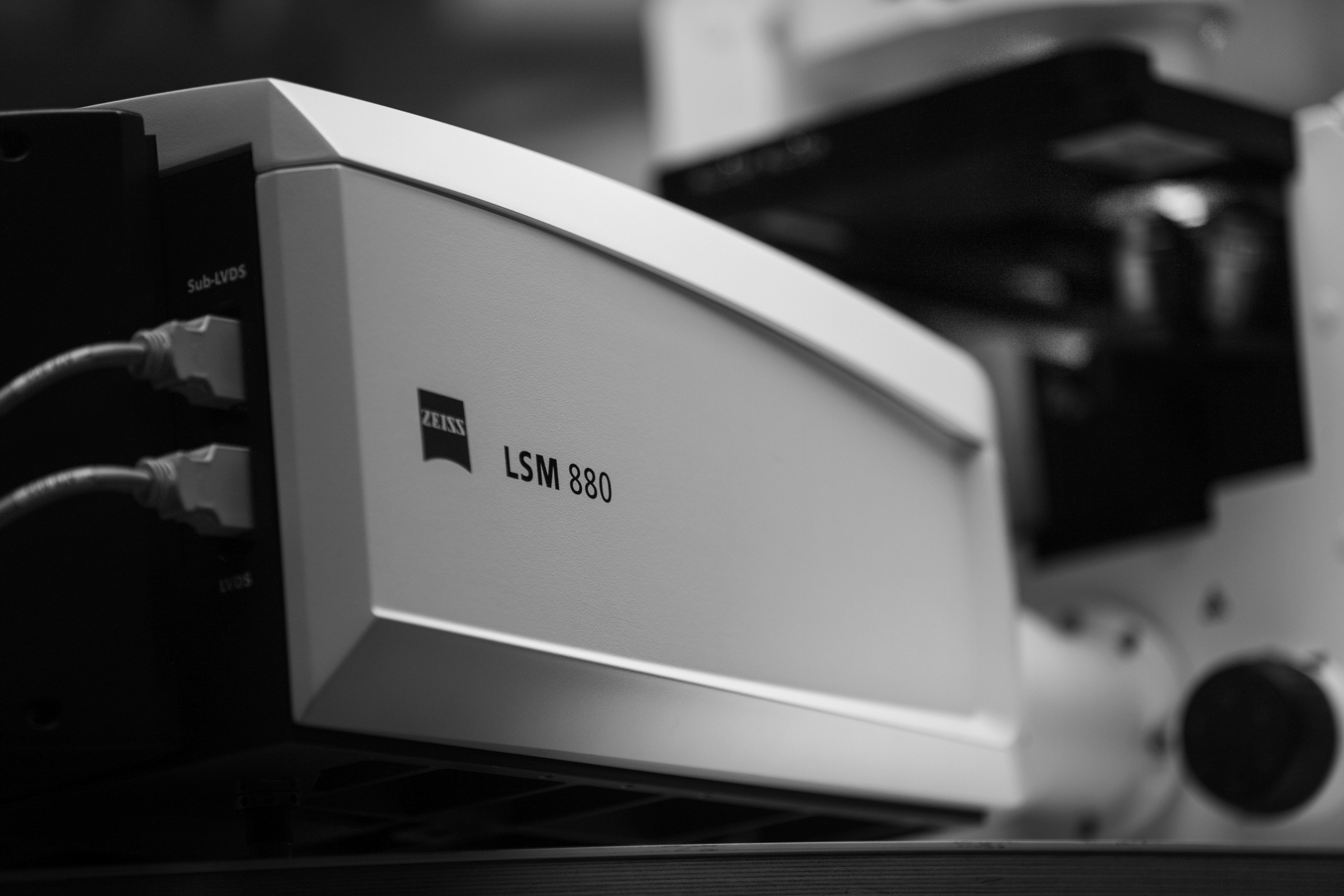 ZEISS präsentiert schnellen Bildaufnahmemodus für LSM 880 mit Airyscan