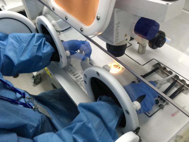 ZEISS microscopes support assisted reproductive technologies_Stemi