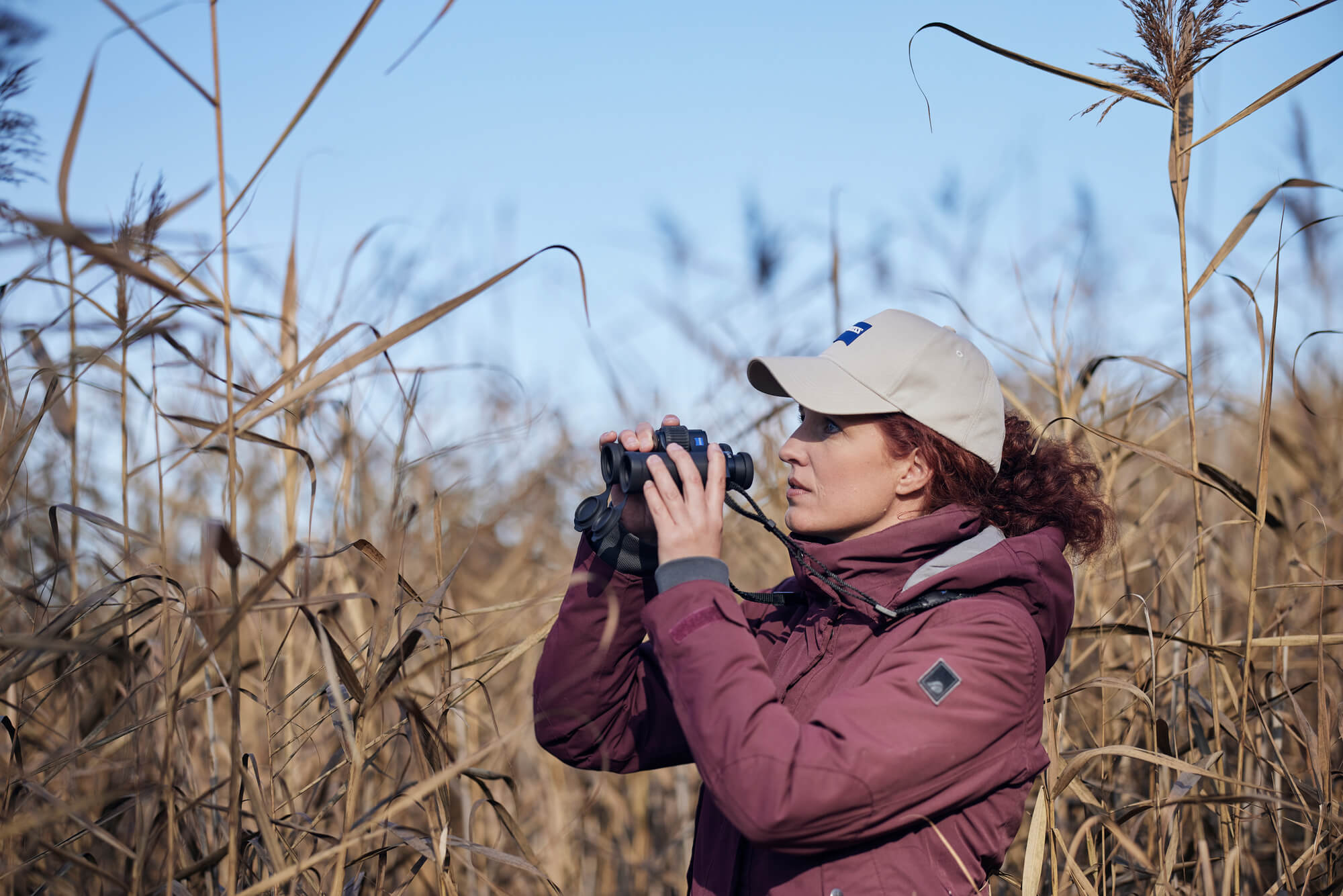 ZEISS SFL 30 the new binoculars of the SF product family Nature Observation