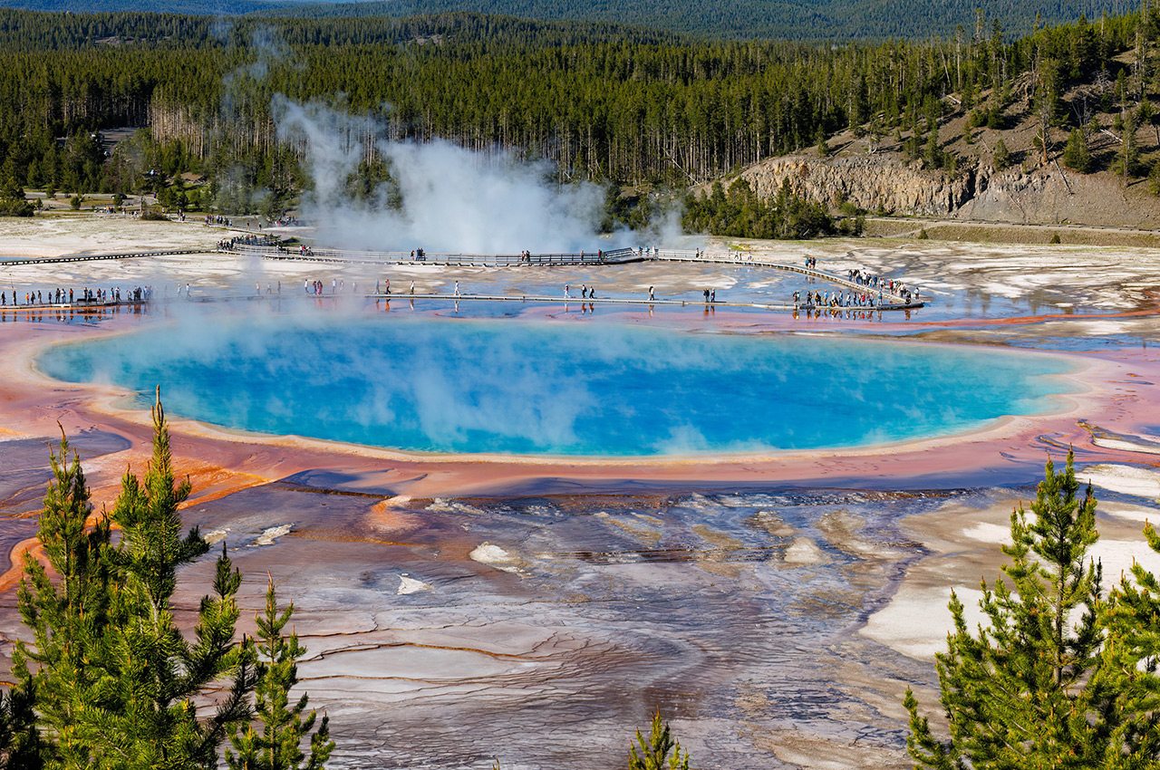 The Yellowstone National Park: Discovering the uniqe nature and wildlife