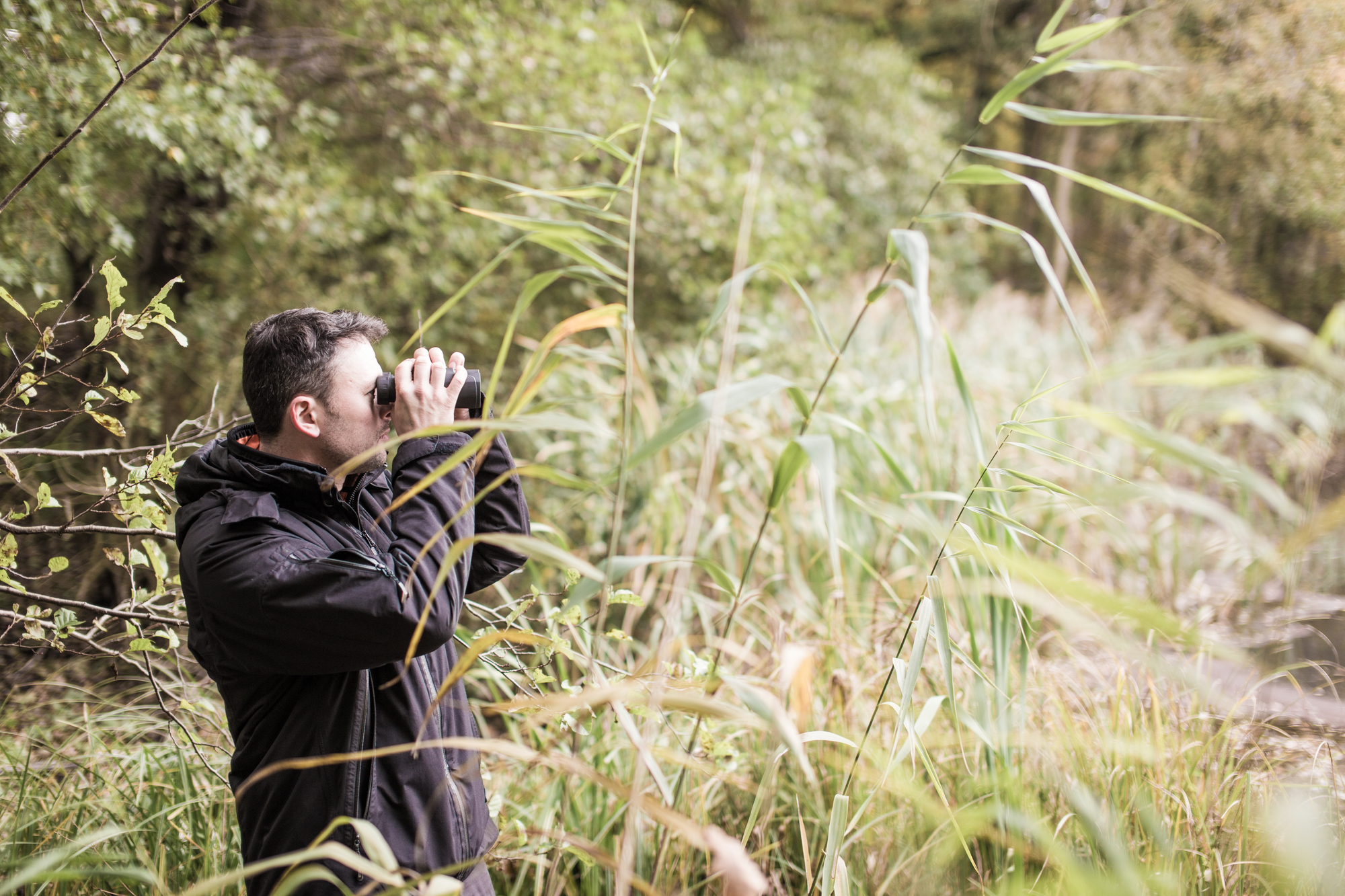 ZEISS Terra ED Germany