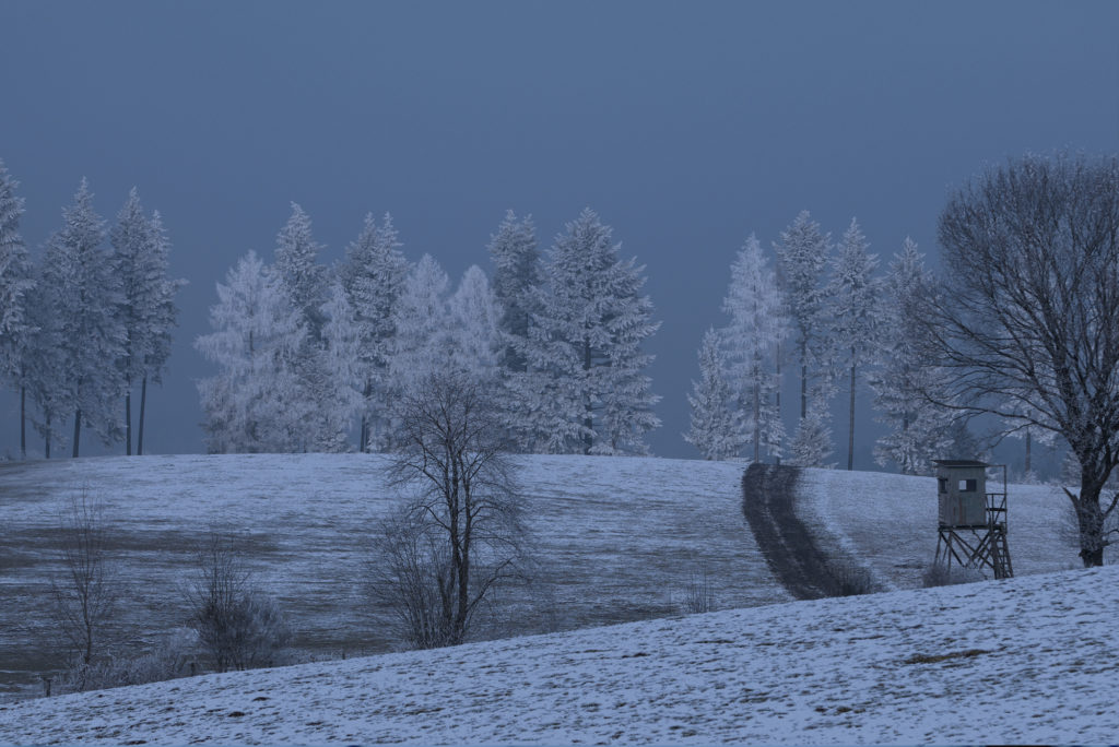 hunting-during-the-winter-season-zeiss-hunting