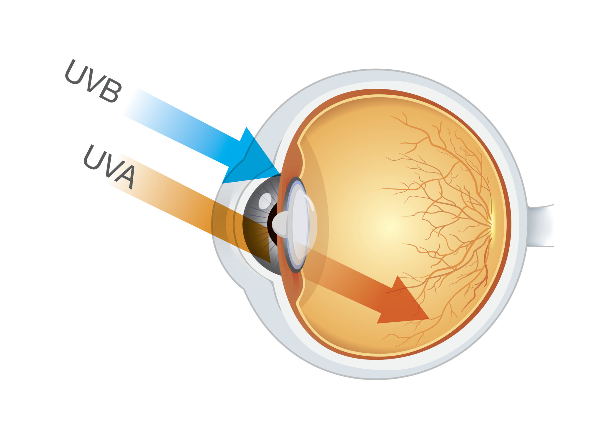 10-resolutions-for-healthy-and-happy-eyesight-zeiss-eye-care