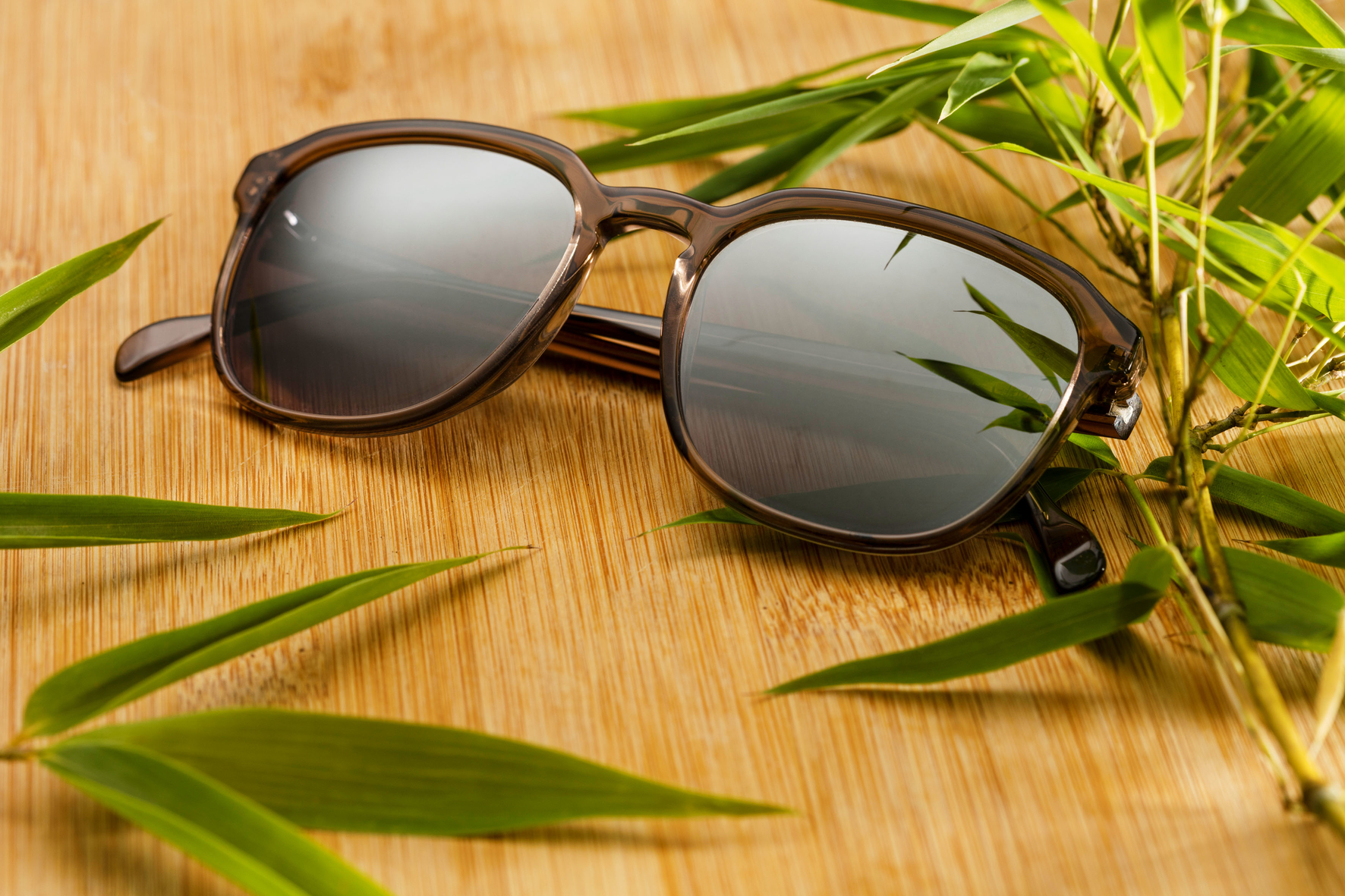 5 Unique Eyeglass Lens Combinations for a Fashionable Look ZEISS Eye